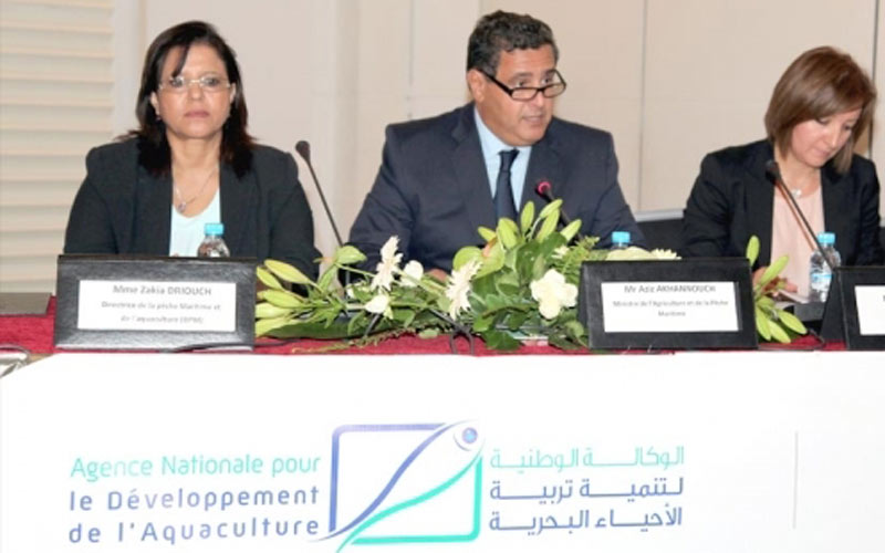 ANDA: Avancées majeures pour l’aquaculture