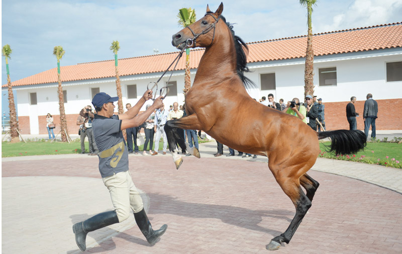 rencontre sur el jadida