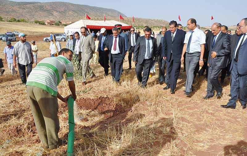 Lancée officiellement ce lundi dans le Gharb: La campagne démarre avec les premières pluies