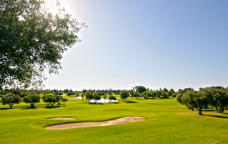Golf : Le Maroc domine les championnats Arabes