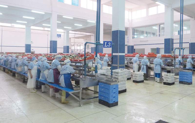 Tan Tan se dote d’une halle aux poissons: Une infrastructure halieutique de 30 millions DH voit le jour