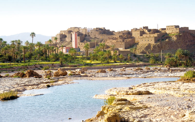 Programme de sauvegarde et de développement des oasis du Sud (POS)