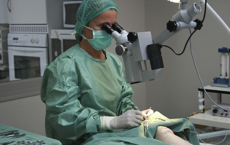 Lutte contre la cataracte: La Fondation du FIFM lance une campagne à Berkane