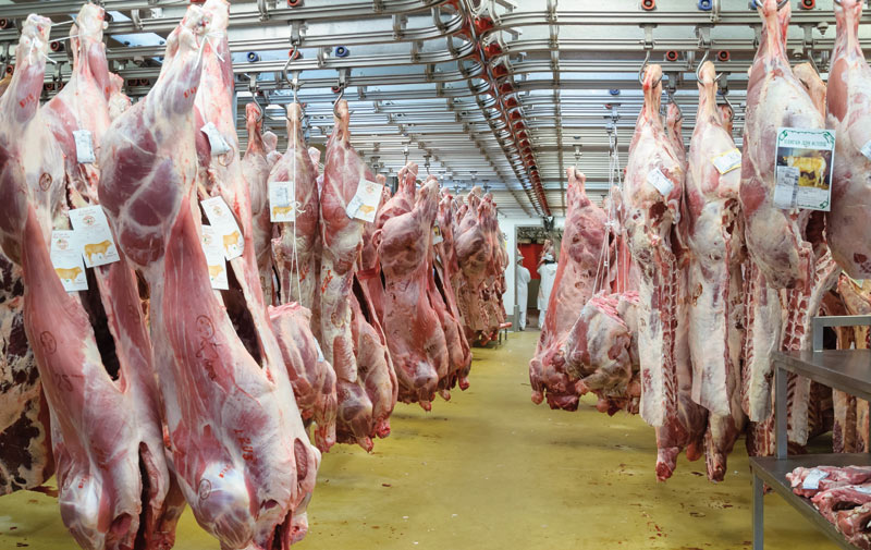 Production des viandes rouges entre 2009 et 2014: Un bilan qui dépasse les espérances