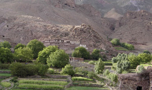 Ouarzazate : Transhumance et biodiversité à l’ordre du jour