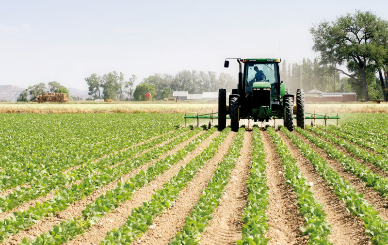 Campagne agricole 2015-2016: Crédit Agricole du Maroc débloque 5 milliards DH
