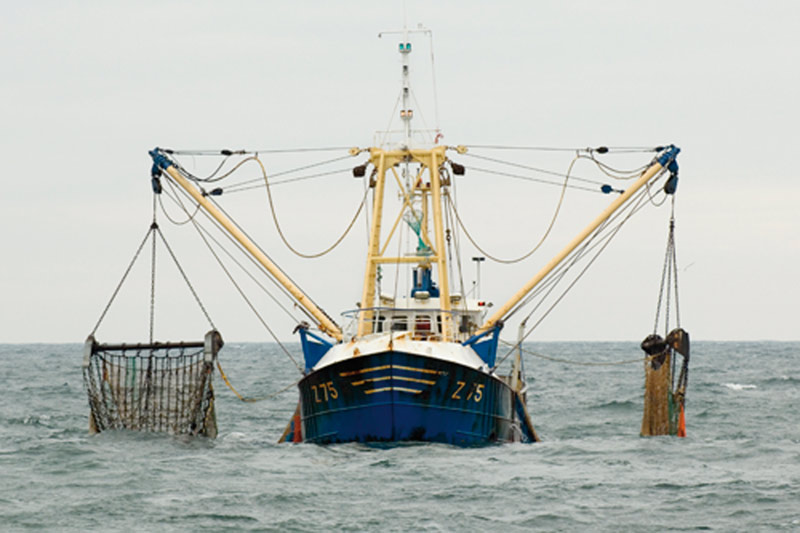 Accord de pêche: 126 bateaux européens investiront les eaux marocaines