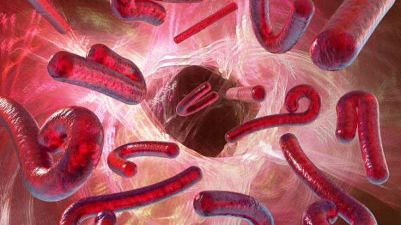 Trois vaccins contre le virus Ebola pourront être fournis par la Russie
