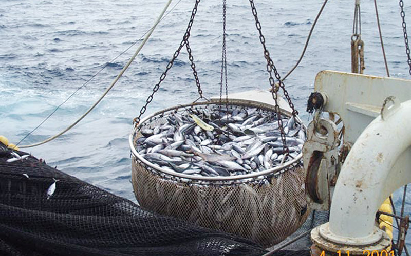 Nouveau protocole de pêche Maroc-UE: Le satisfecit de Madrid