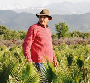 Exposition : L’art du jardin à Marrakech