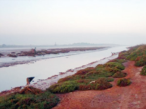 rencontre marocaine agadir