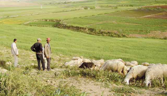 Maroc : Agriculteurs, une seule adresse pour vos demandes d information