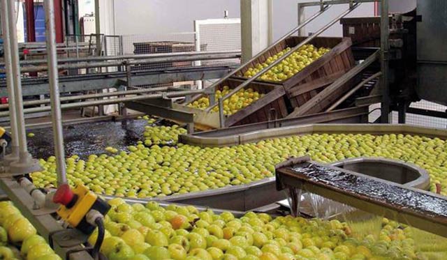 Le Maroc au Salon mondial de l alimentation « Anuga 2013 »