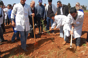 Berkane : Inauguration d’une ferme pédagogique d’oliveraie