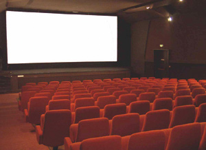 Les salles de cinéma se réduisent en peau de chagrin
