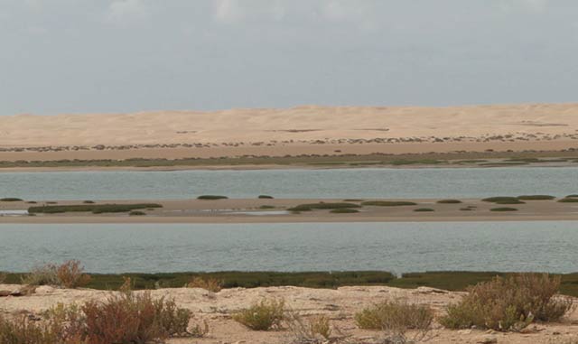 Dakhla : L Agence du bassin hydraulique décline sa stratégie de l eau 2013-2016