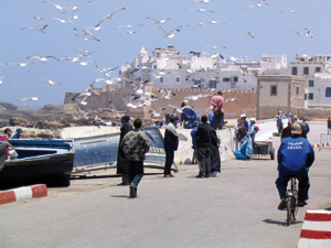 Las Palmas et Essaouira renforcent leur coopération