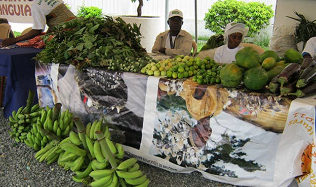 Le Maroc invité d honneur de la Foire agricole du Gabon