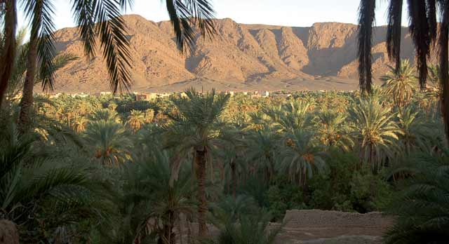 Le 3ème Forum international des oasis du 18 au 21 décembre à Zagora