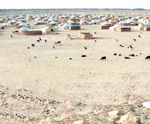 Nouvelle provocation du Polisario