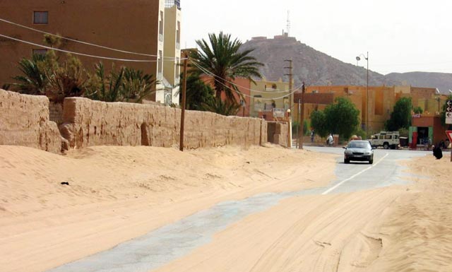 Laâyoune-Smara : Deux journées consacrées à la lutte contre la désertification