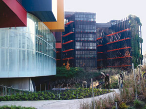 Un siècle de jazz au quai Branly