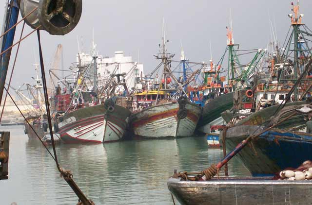 Tentatives de désinformation dans le secteur de la pêche maritime : Le ministère coupe court aux rumeurs