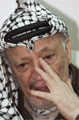 Yasser Arafat : L’honneur d’une nation