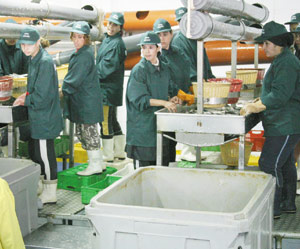 Entreprises : farine et huile de poisson certifiées