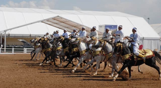 Le Salon du cheval souffle sa cinquième bougie