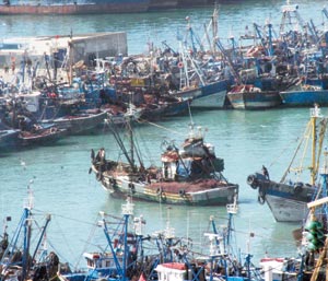 Pêche : Mobilisation contre les fraudes