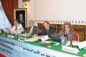 Une première dans le monde arabe et africain : Les télécommunications mobiles par satellites en conclave à Tanger