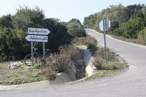Tanger : Slokia, un patrimoine forestier et écologique en péril