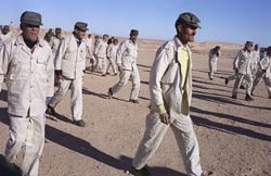 Vers la libération des 404 détenus Marocains