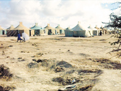 Le Polisario face à ses victimes
