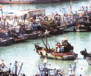 Accord de pêche : naufrage polisarien