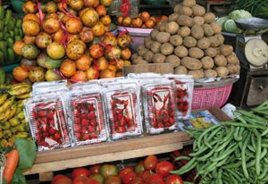 Les fruits et légumes diminuent le risque de cancer pour les fumeurs