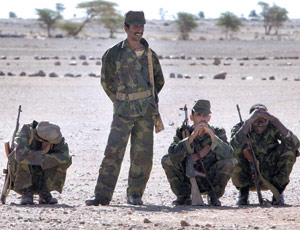 Amnesty épingle l’Algérie et le Polisario