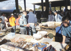 Tanger : Lancement des travaux de rénovation du marché aux poissons