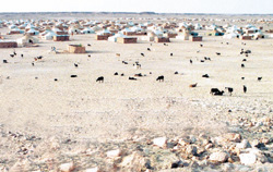 Tindouf : Alger tire sur des Sahraouis