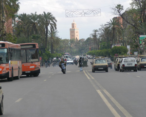 Sécurité alimentaire : 28ème Congrès vétérinaire maghrébin à Marrakech