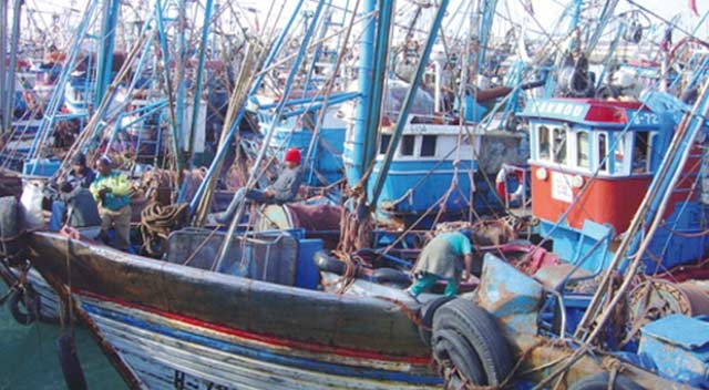 Pêche : L’exploitation irresponsable des ressources halieutiques met en péril le stock de poissons d’Al Hoceima