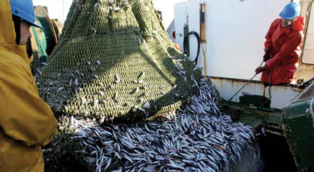 Accord de pêche : Les Espagnols fatigués d attendre