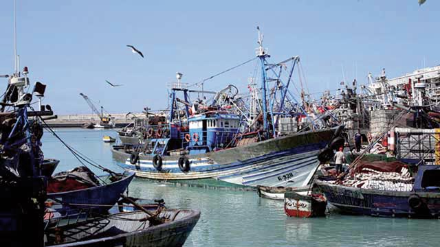 Pêche côtière: les débarquements en hausse de 6% à fin septembre