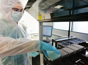 Des scientifiques recréent du sperme à partir de cellules souches