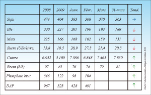 Les importations nationales de maïs progressent de 36%
