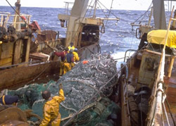Maroc-UE : l’accord de pêche enfin signé