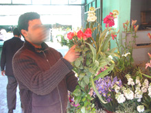 Profession fleuriste : les épines et la rose