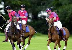 Polo : le Maroc et l’Espagne se distinguent