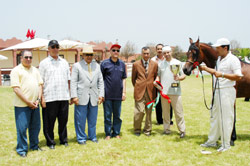 Coupe du Trône des Courses hippiques